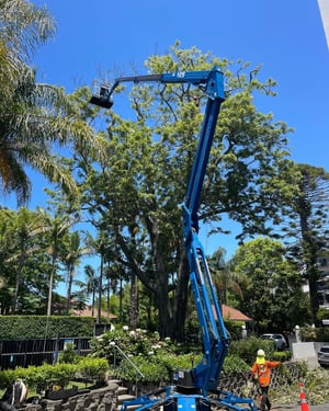 470135620_18469158031012648_8728843874021333267_n