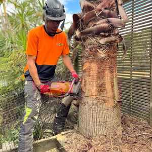 484409069_9407079226020319_1594728136774961881_n