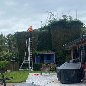 486045275_1236341261825921_2543599192117931670_n