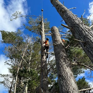 488383974_1243796464413734_676628551018327044_n