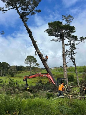 488774741_1251744346952279_7938356885817846580_n (1)