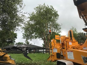 513349226_23955583380743329_1764591520848481347_n