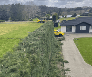 Overgrown Hedge Reshaping