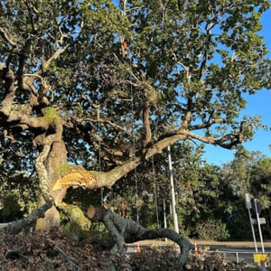 Improved safety  (1)