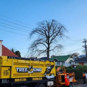 Maintained Clearance