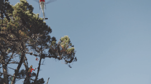 Screenshot 2026-01-19 at 4.13.28 PM