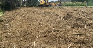 Stump Grinding Image block - WEBSITE (10)-1