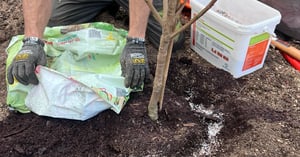 planting Image block - WEBSITE (2)