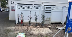 planting Image block - WEBSITE (3)