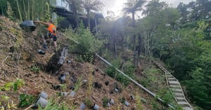 clifftop planting- WEBSITE (4)