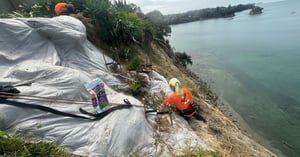 clifftop planting - WEBSITE (5)