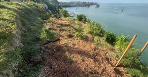 clifftop planting - WEBSITE (6)