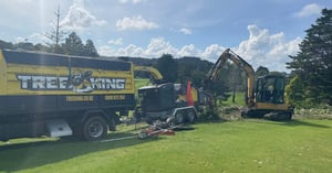 Stump Grinding Image block - WEBSITE (9)-1