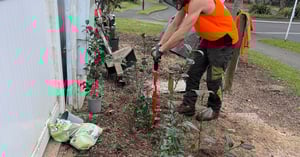 Planting Image block - WEBSITE-1