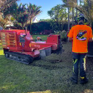 FSI TRACKED STUMP GRINDER