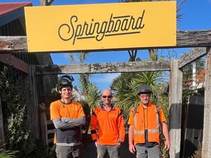 TreeKing Springboard