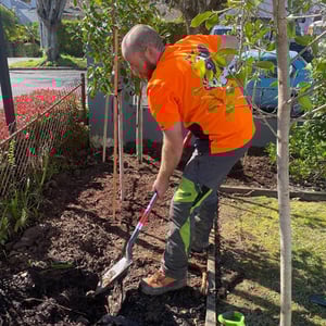 Planting