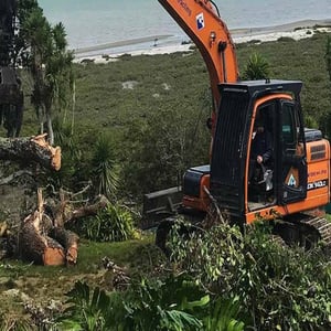 Section Clearing