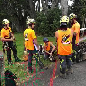 Section Clearing