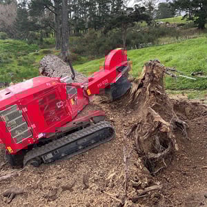 Stump Grinding