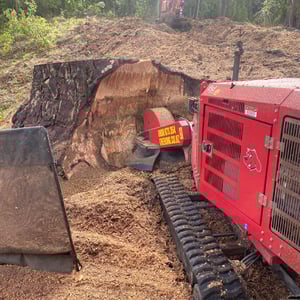 Stump Grinding