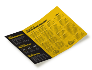 Subscribe Our News Letter
