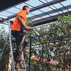 Tree Pruning