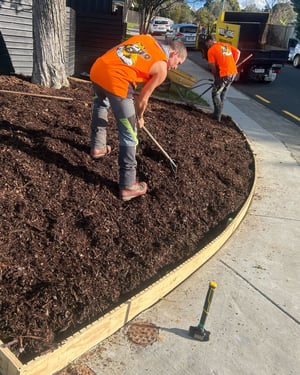 Untitled (Instagram Post (45))