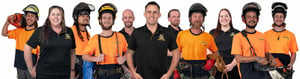 TREE KING TEAM