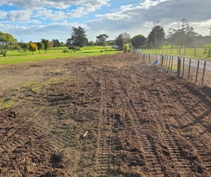 Untitled design (10)-3