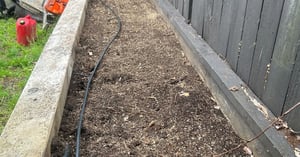 Untitled design (11)-1