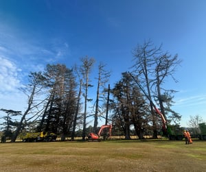 Untitled design (12)-1