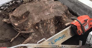 Untitled design (12)