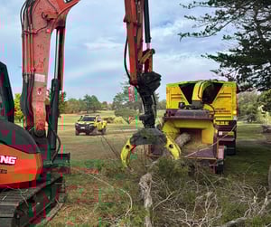 Untitled design (13)-1