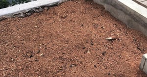 Untitled design (13)