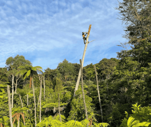 Untitled design (21)