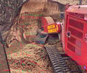 Untitled design (26)