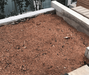 Untitled design (27)-1