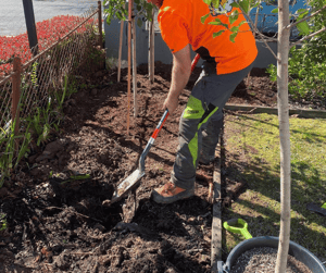 Untitled design (31)