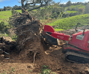 Untitled design (39)-1