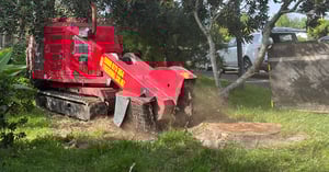 Untitled design (5)-3