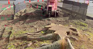 Untitled design (6)-2