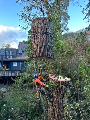 Untitled design - 2025-11-03T115932.390