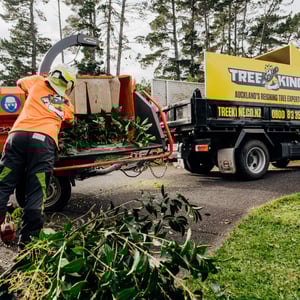 debris removal