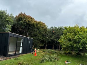 Tree and Hedge Trimming