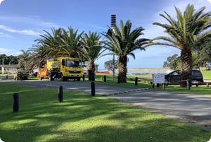 tree pruning warkworth (3) (1)