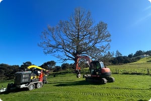 tree pruning warkworth (5)
