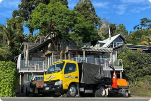 tree pruning warkworth (6)